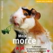 Moje mor�e a j� - Immanuel Birmelin; Monika Wegler - cena od 63 do 109,- K�...Jak se nau�it ch�pat povahu zv��ete a z�skat d�v�ru u� od za��tku? Jak se mor�e stane d�v��iv�? Hran� a legrace s mor�etem. Jak doma pro��t hodiny pln� nap�t�? �t�st� ve st���. 