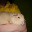 tahle pani�ka je moc hodn� �asto m� chovala a moc se m� to l�bilo a j� pr� tak� :-) pr� jsem milou�k� .)