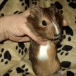 �.1 kluk narozen 3.9.2010 - u� bydl� s br�kou jinde